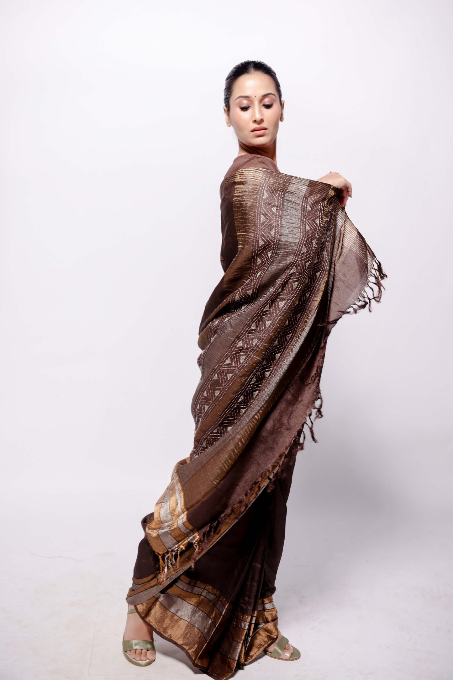 Brown-Zari Woven Wild Silk Saree Sujani Embroidered Saree-bihart