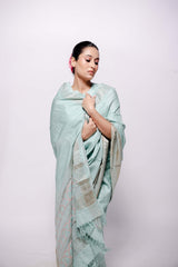 Light-Blue Zari Woven Wild Silk Saree Sujani Embroidered Saree-bihart