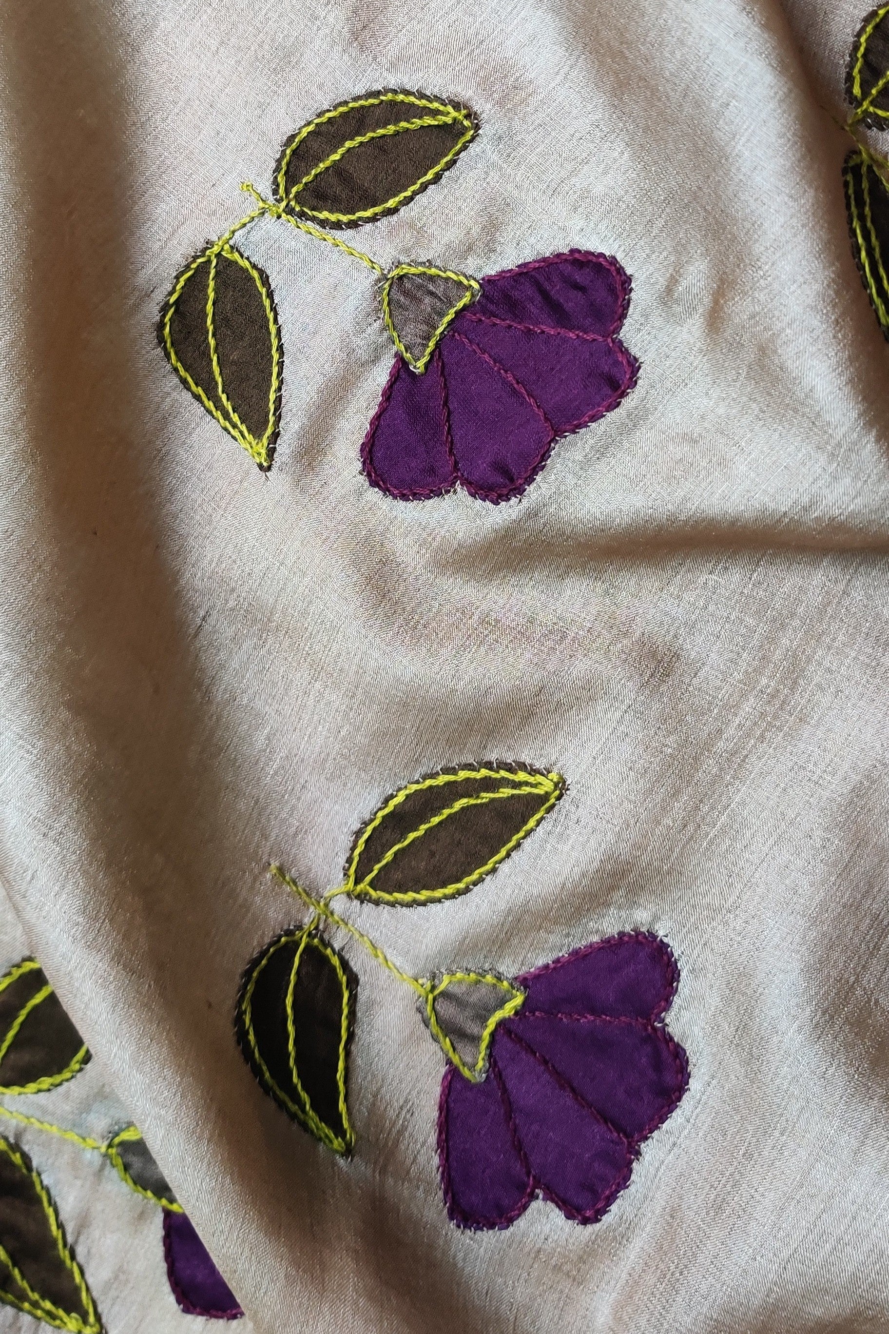 Tussar Silk Applique Beige Dupatta
